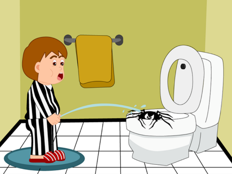 There's a spider in my bathroom! art spider character design cartoon illustration