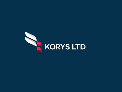 Korys Ltd abstract fly hexagon solid wings