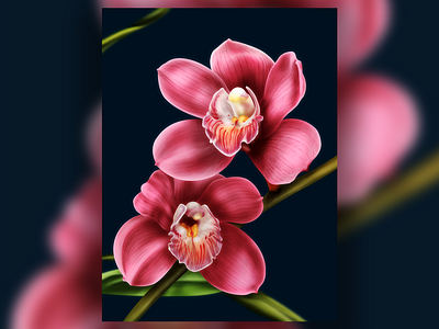 Orchid Illustration adobe adobe photoshop digital paint digital painting flowers illistration nature orchid orchids photoshop pink plants realism wacom wacom intuos