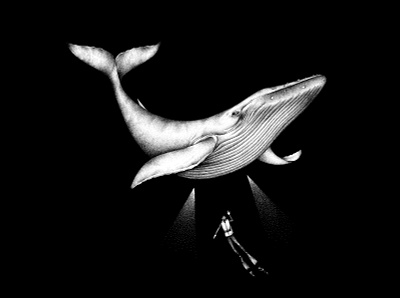 Whale - © by the ink - Cécile Ollichon drawing illustration inkdrawing screen printing stippling underwater whale