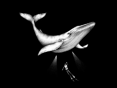 Whale - © by the ink - Cécile Ollichon