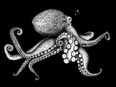 Octopus garden © by the ink - Cécile Ollichon art artistic blackandwhite decoration dotwork graphic art graphicdesign illustration inkdrawing ocean octopus screen printing