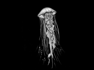 Dancing queen - Jellyfish © by the ink - Cécile Ollichon artistic black white blackandwhite decoration dotwork drawing illustration ink art ink drawing ink pen inkdrawing jellyfish méduse nature ocean