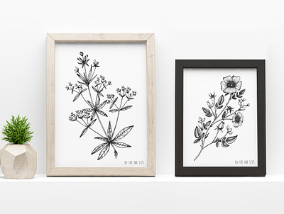 Botanical illustrations © by the ink - Cécile Ollichon botanical botanical illustration dotwork drawing illustration inkdrawing screen printing screenprint silk screen silkscreen silkscreen print stipling wall decor