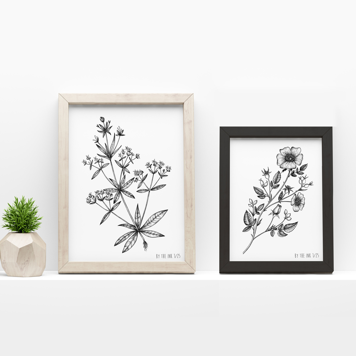 Botanical illustrations © by the ink - Cécile Ollichon by By the ink on ...