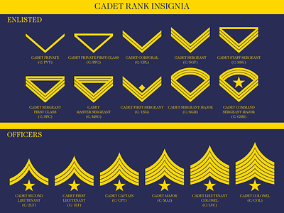 Cadet Rank Insignia for a Military School cadets military school miltary rank insginia