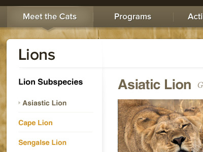 Lion Subspecies brown navigation orange ui