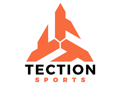 Tection Sports Company art branding clean design flat font icon illustration illustrator lettering logo logo design minimal orange sports sports logo vector