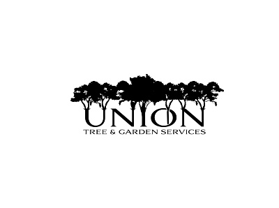 Union Preview art branding design flat icon illustration illustrator logo minimal vector