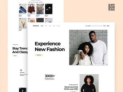 Online clothing e-commerce store concept