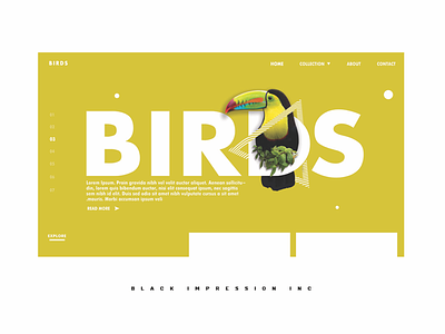 UI concept - Birdy