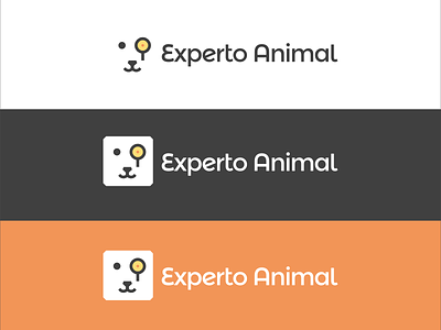 Evolución del logo de ExpertoAnimal animal experto icon iteligence logo search