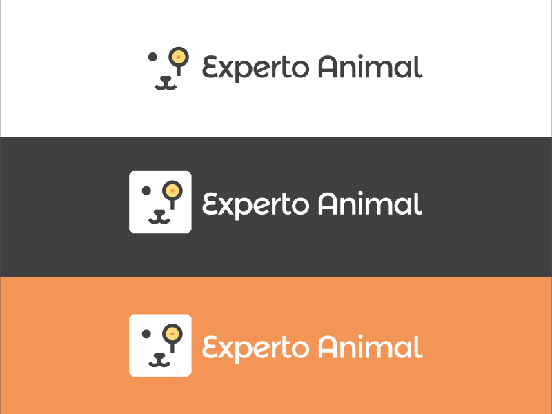 Evolución del logo de ExpertoAnimal iteligence search icon animal experto logo
