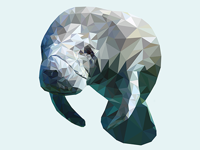 There are no manatees in Armenia. illustration low poly manatee