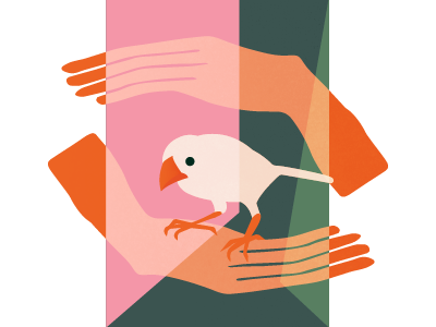 Confinement for Meaning animal avian bird color block confine finch fine art geometric hands illustration life nature