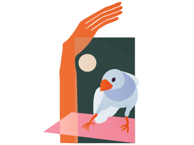 And to What End? animal avian bird color block confine finch geometric hands illustration