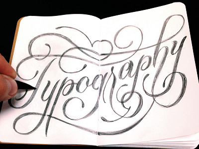 Typography design illustration lettering type typography