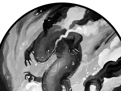 Salamander digital etching illustration salamander