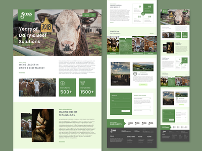 DBGS - Landing page Concept beef branding cattle concept dairy design farm flat landing page landing page design ui ux web website