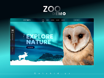 Zoo demo design