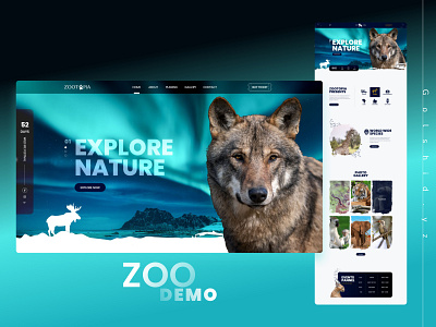 Web template - Zoo website design branding design graphic design illustration typography ui ux vector