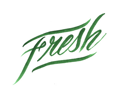 Fresh Sketch brush calligraphy fresh hand drawn type hand lettering lettering marker pen type typography