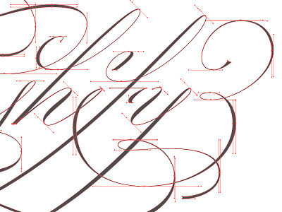 Vectorizing script flourish illustrator lettering script swash vector