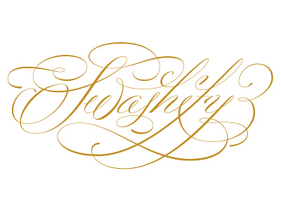 Swashify lettering script swash type typography vector