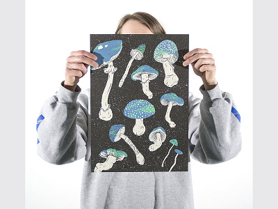 Shrooms Poster art artwork colour design illustration illustration art illustrator mushrooms poster poster art print