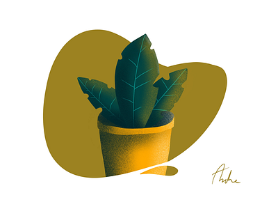 A plant