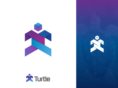 Turtle Logo Design Icon 3d logo app brand identity design illustration logo modern turtle turtle icon turtle logo vector