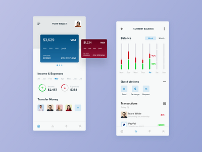 Finance Wallet App Concept