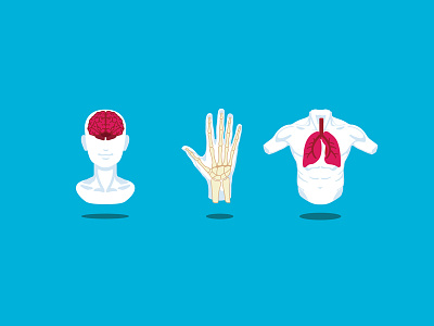 anatomy icons anatomy bones brain hand icons illustrator lungs vector