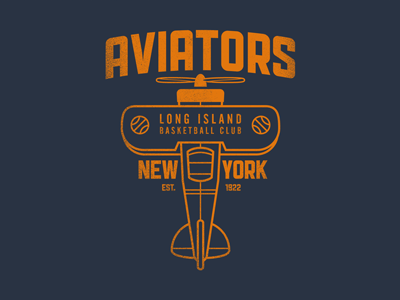 Long Island Aviators long island aviators public gothic rebound