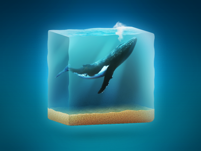 Whale in the sea 3d design ocean sea technical water whale