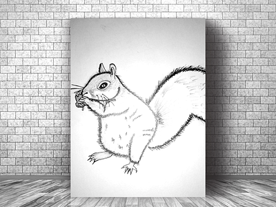 Sketch Squirrel 2d art artwork character creative design illustration