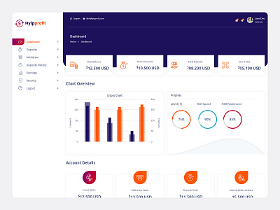 HYIP Dashboard cryptocurrency dashboard dashboard ui financial financial company financial template financial website hyip business hyip website illustration hyip investment investment hyip investment template isometric hyip
