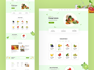 Landing Page for Healthy Food
