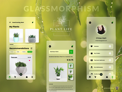 Plant Life | Glassmorphism adobe xd concept glassmorphism minimal ui uidesign uiux ux