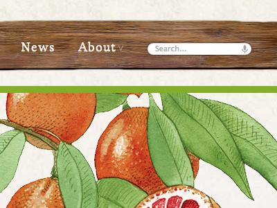 Orange illustration navigation olive oil wood