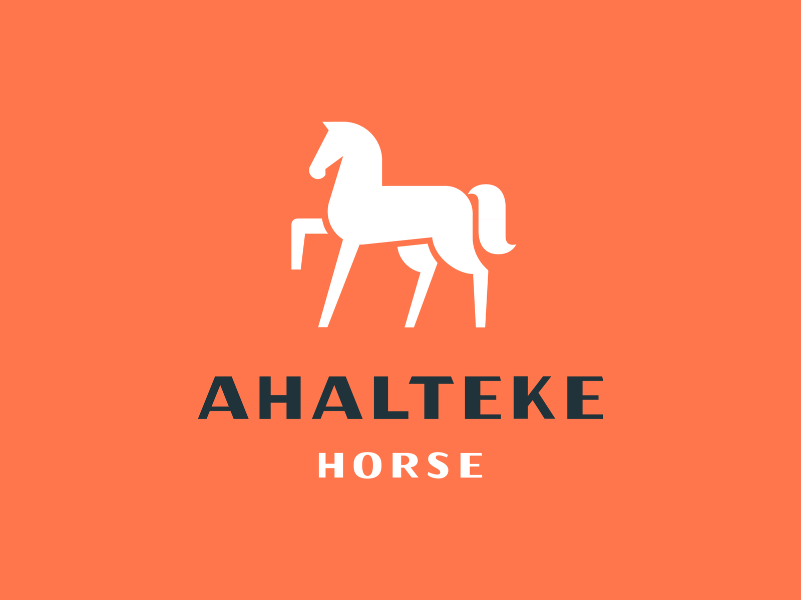 Ahalteke horse by Gurban Mamedkulyev on Dribbble