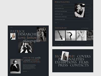 Patrick Demarchelier website design concept animation interface photographer ux website