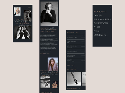 Patrick Demarchelier website design concept