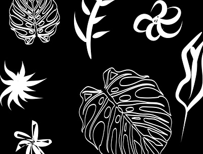 Leaves black white illustration nature wallpaper