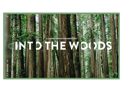 Into The Woods Limited Series Documentary branding forest mockup design redwoods ui user interface design web webdesign woods