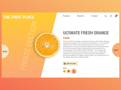 E-commerce Website Template