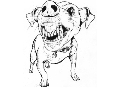 Dog Illustration