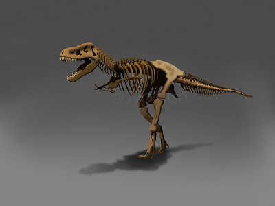 Tyranasaurus Rex Skeleton character character concept concept design digital art illustration illustrator photoshop