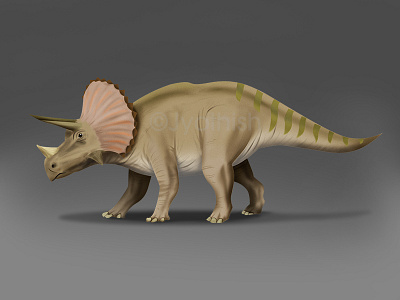 Triceratops