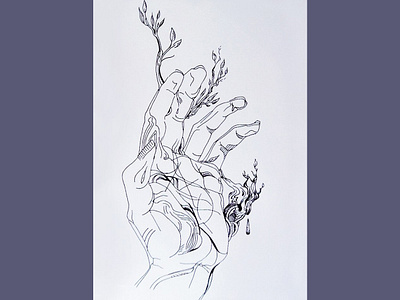 Δάφνη (Laurel) blackandwhite illustration ink pen line art